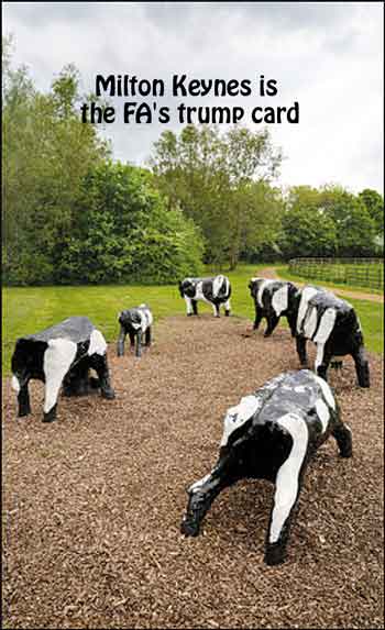 milton keynes cows
